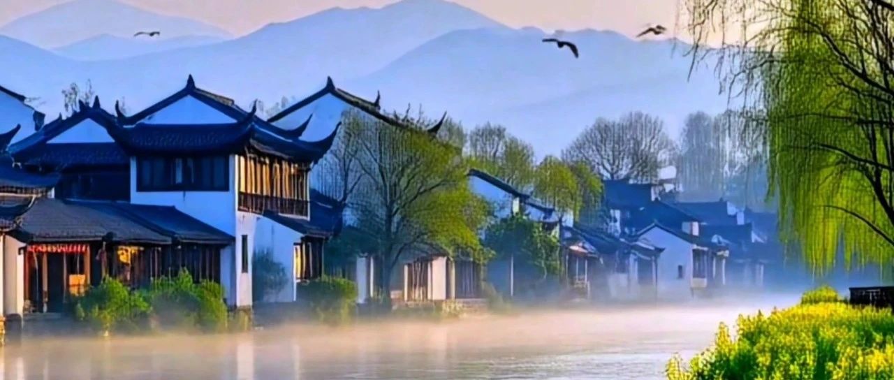 2025断舍离革命：从物质极简到AI赋能的认知升维