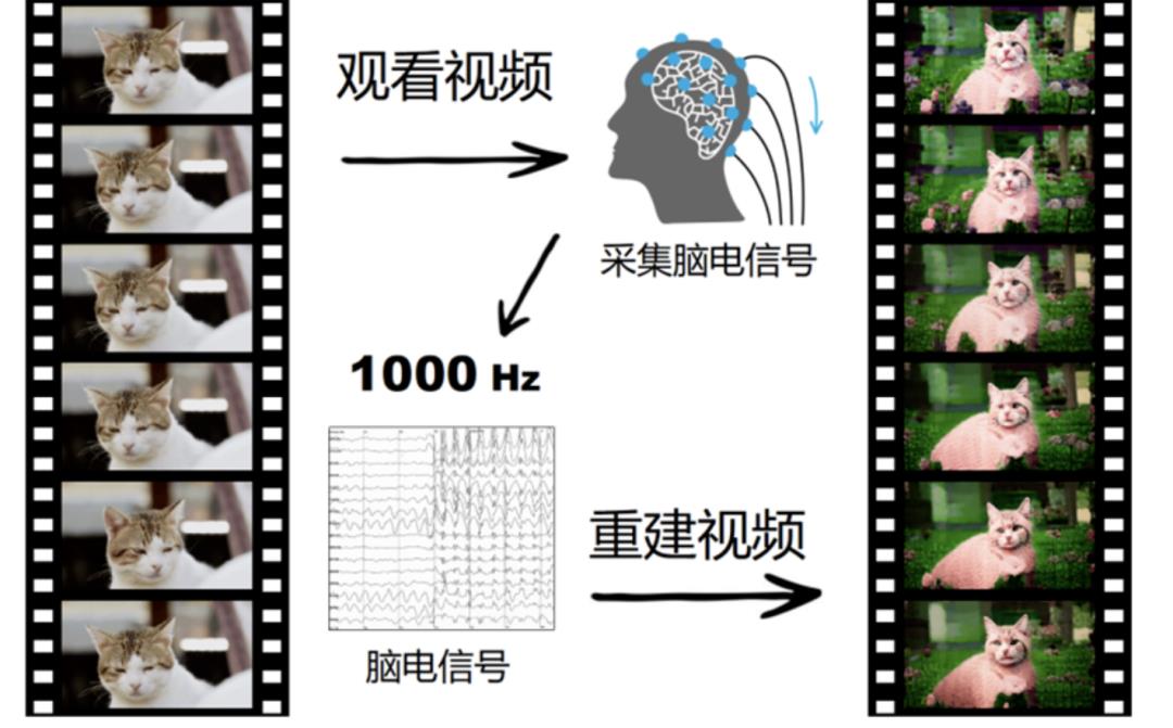 我做脑机接口产品经理：碰到的3个难点