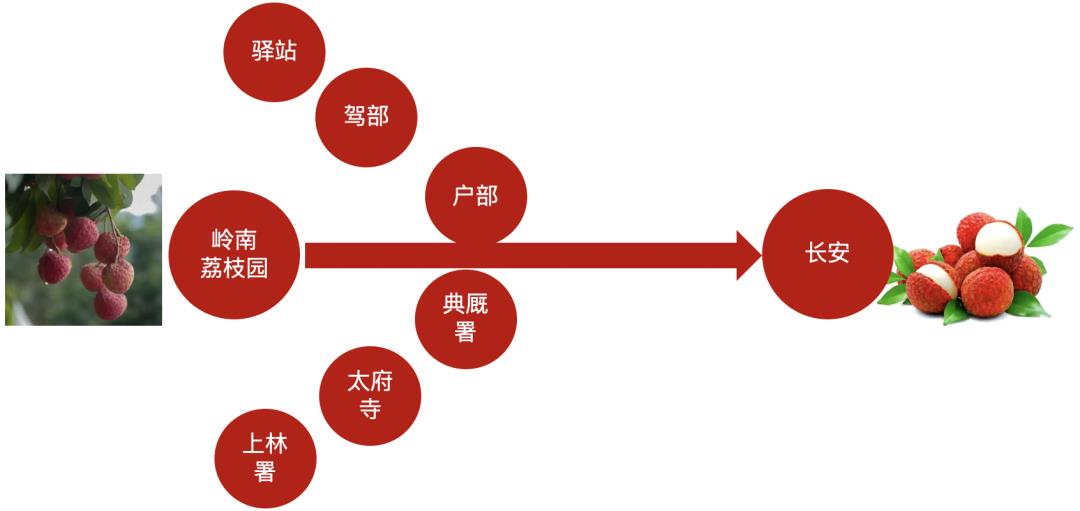 看《长安的荔枝》，品生鲜供应链