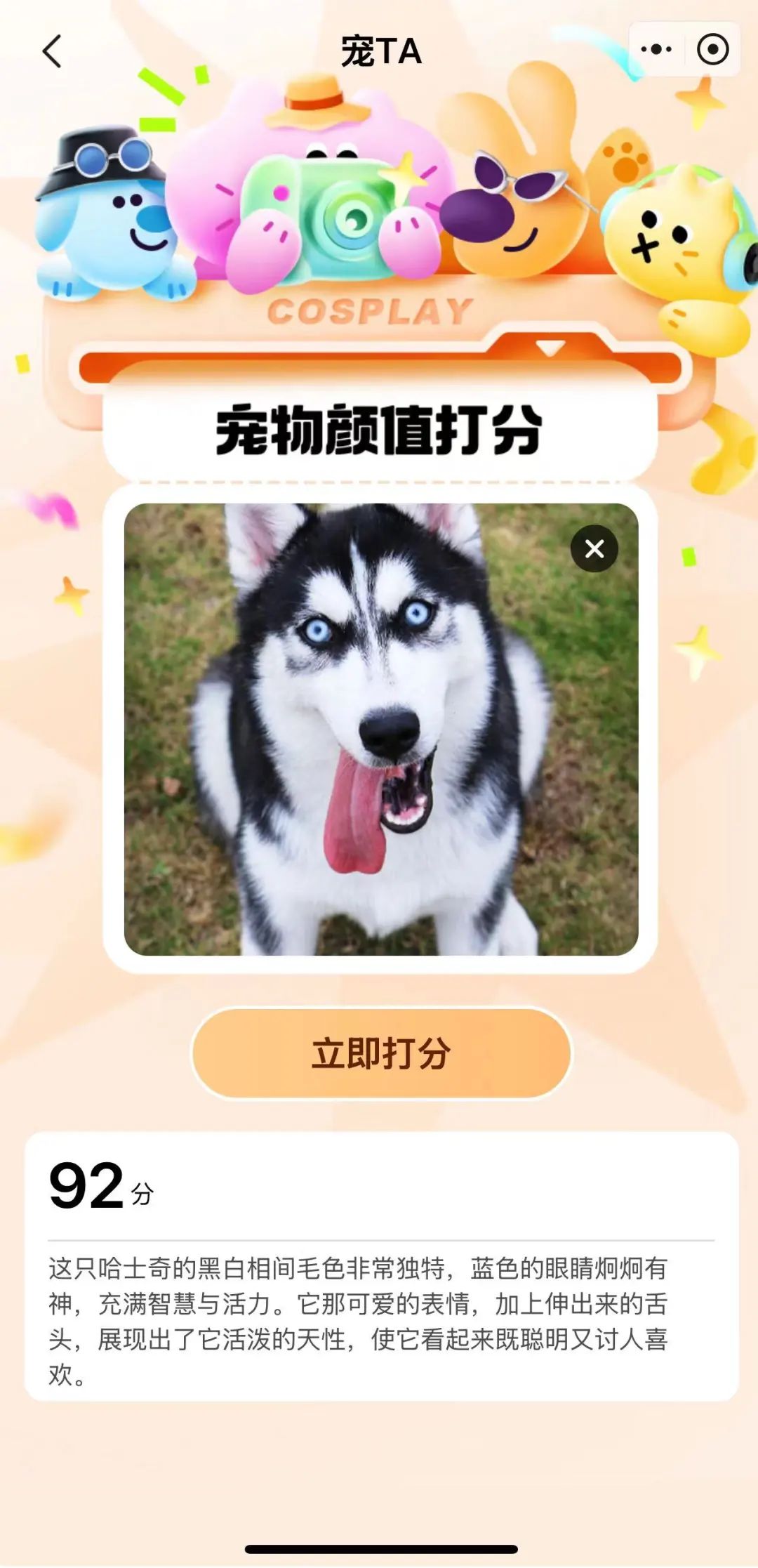 京东悄悄上线了