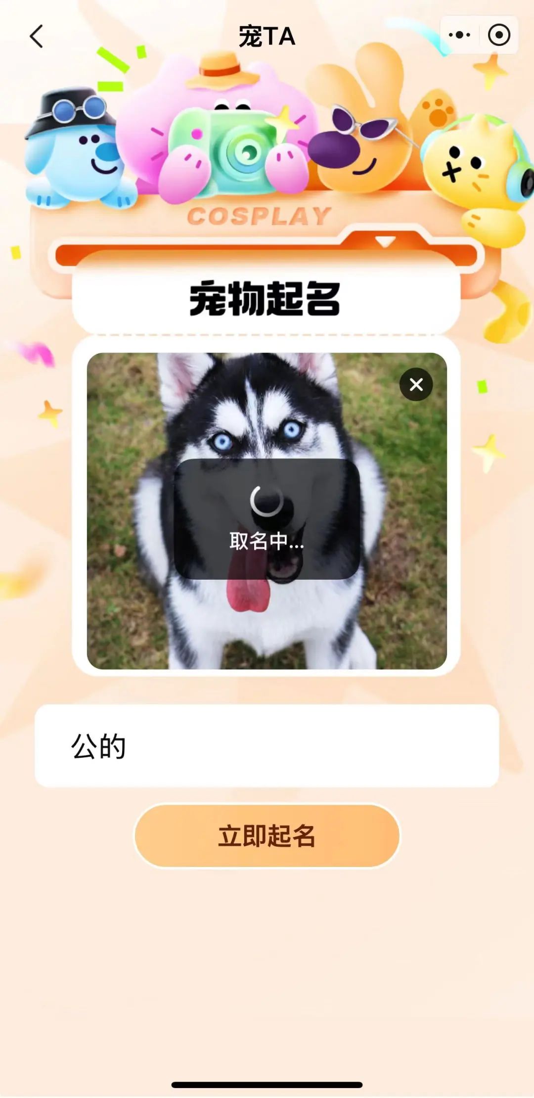 京东悄悄上线了