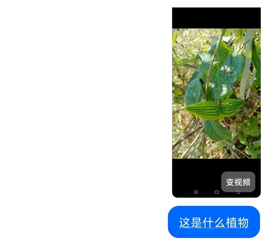 豆包O3视觉推理功能深度解析：从图像识别到智能推理的革命性突破