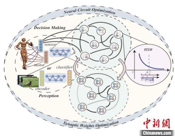 AI终于像人脑一样思考了?国产“瞬悉”大模型发布,仅用2%数据量就追平主流模型