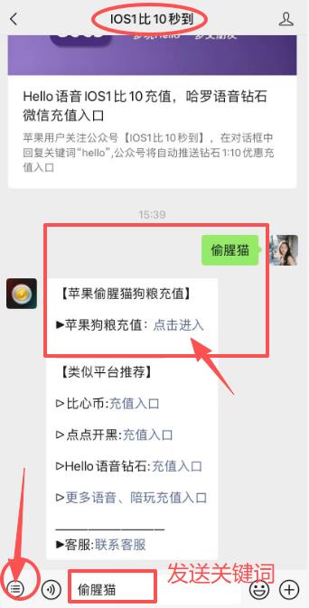 苹果手机偷腥猫充值入口，iOS狗粮微信充值如何币APP中的更便宜