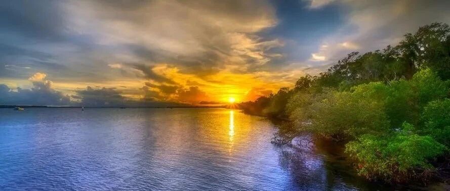 聊聊职场核心技能：逻辑思维和批判性思考