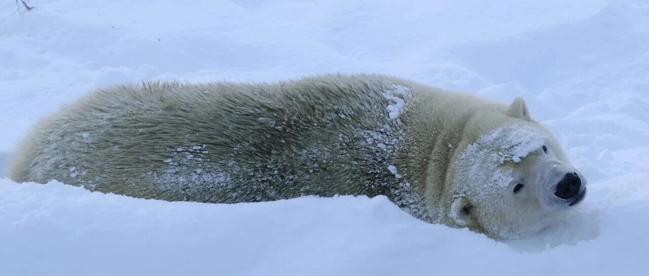 AI 技术革命带领我们走向通缩时代