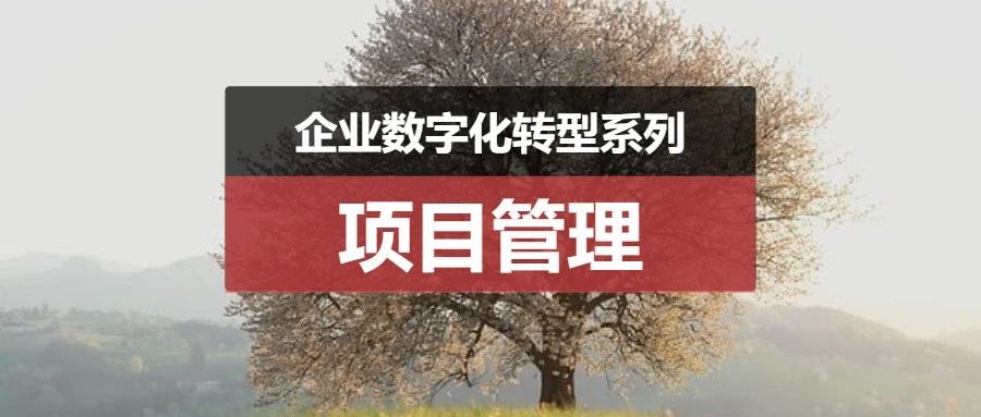 迈向B端产品专家的10个工具02：产品经理如何执行产品项目管理