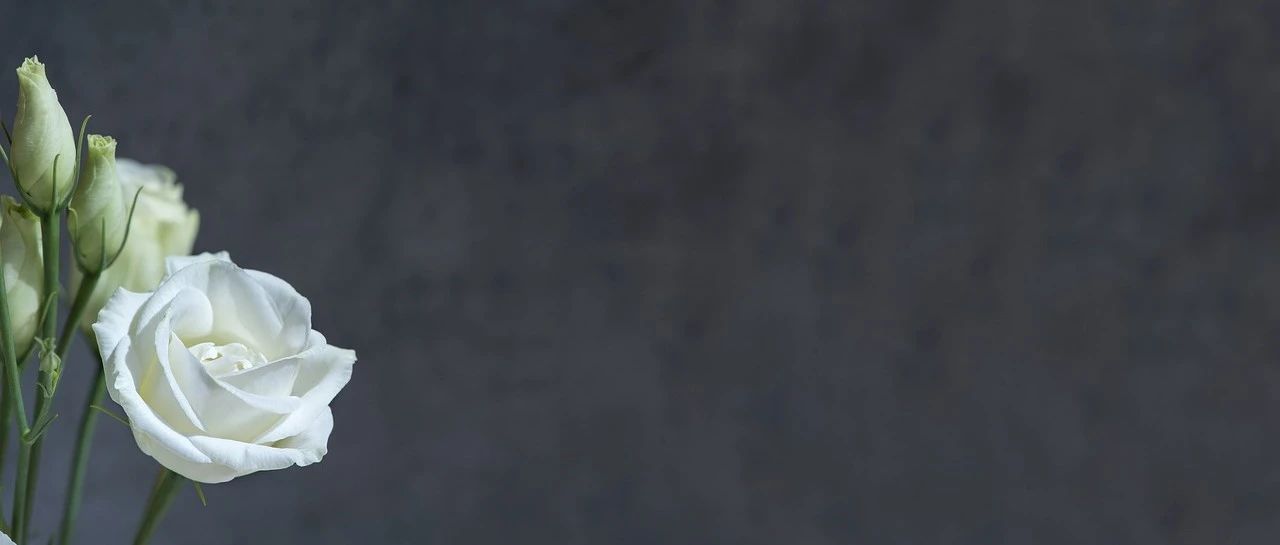 客户成功部门的裁撤潮，已经来了吗？